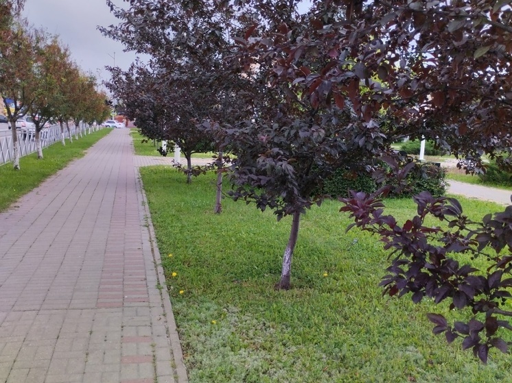 В Азовской Ялте появится пешеходная аллея