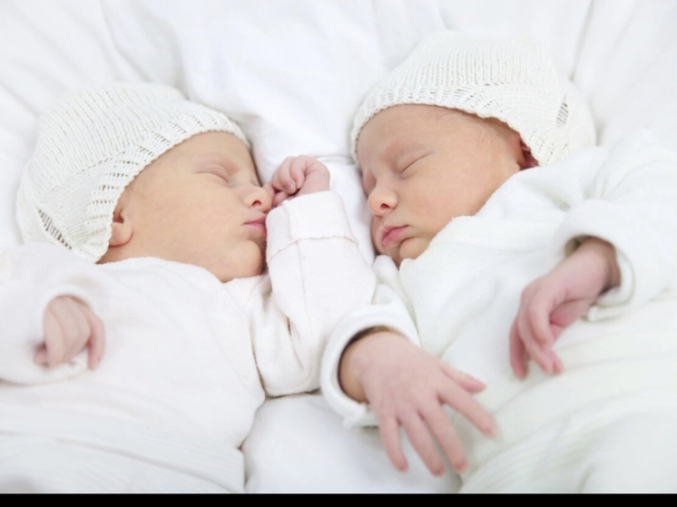 В Смоленске 673 пары узаконили свои отношения в августе