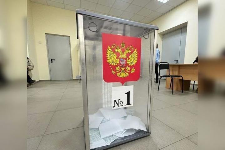 Явка в первый день выборов в донской парламент превысила 17%