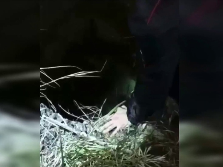 В Приморье полицейские спасли щенка упавшего в колодец