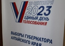 На 20.00 8 сентября в Алтайском крае на выборах губернатора проголосовало 8,6% от общего числа избирателей