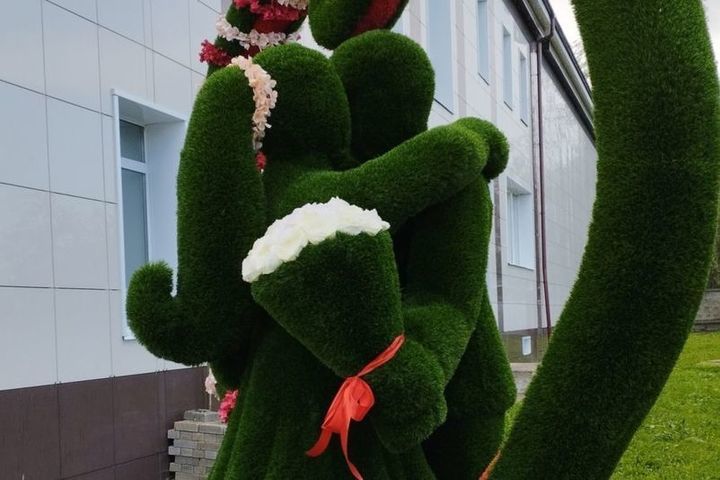 Костромские новинки: в Нерехте у Центра «Диалог» появилась «зеленая скульптура»