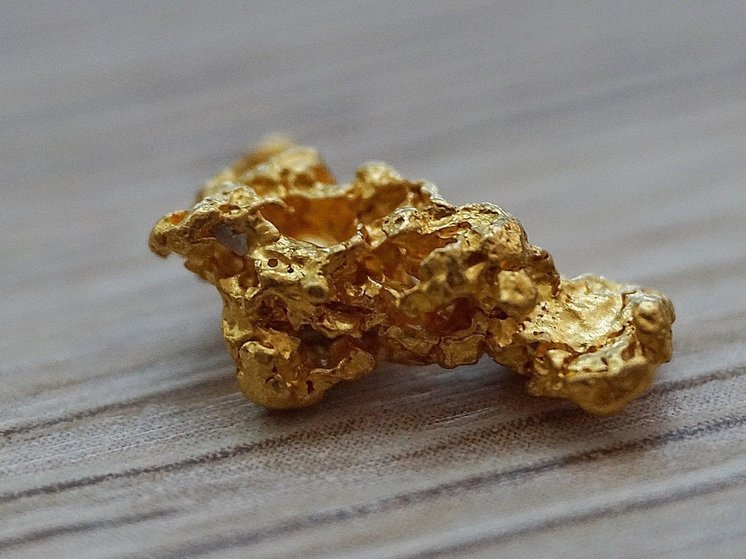 Норвежец на прогулке случайно обнаружил уникальный золотой клад: «Находка века»