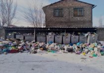 Так хотят пристыдить должников – сейчас за вывоз мусора Бишкек и его жилмассивы задолжали около 2 млн долларов США