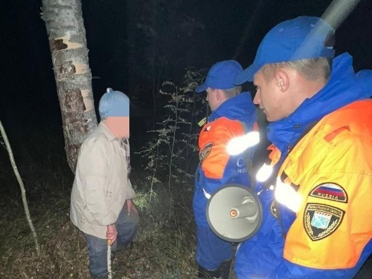 Спасатели помогли двум ленинградцам, заблудившимся в лесу ночью