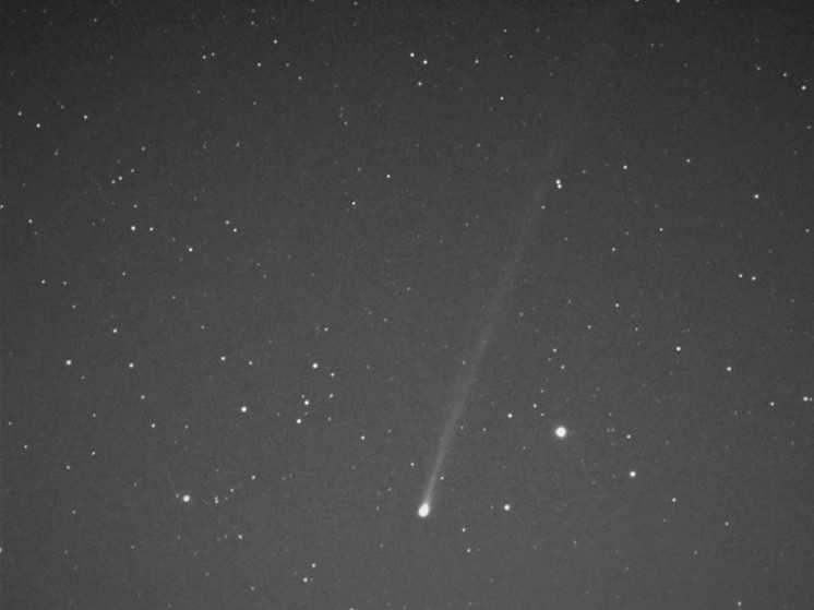 Калининградские астрономы засняли открытую месяц назад комету «Нисимура»