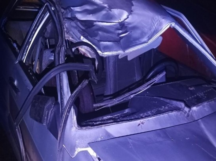 На дороге Бураново - Киясово автомобиль столкнулся с лосем