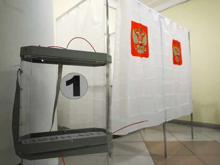 В Мосгоризбиркоме отметили высокую явку избирателей на выборах мэра