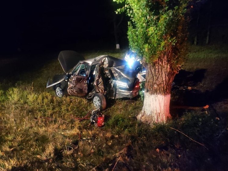 Ночные скоростные катания обернулись смертельным ДТП для троих приятелей на Ставрополье