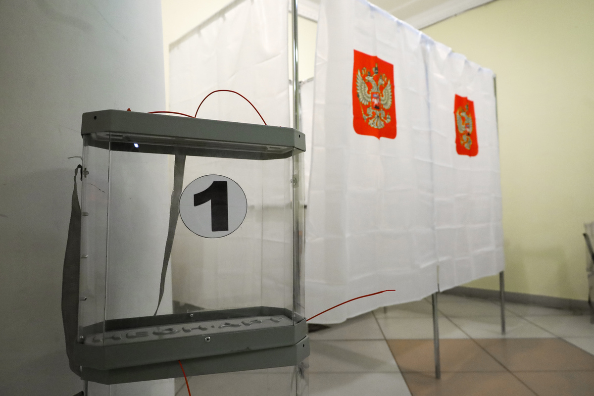 Явка на выборах 2024 челябинская область. Бюллетень выборы 2024. ДЭГ выборы 2024.