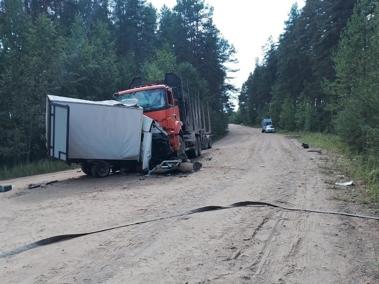 Два человека погибли в столкновении "КамАЗа" и "ГАЗели" в Тверской области