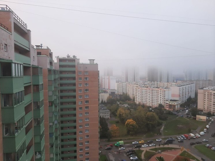 Плотный туман накроет Петербург 11 сентября