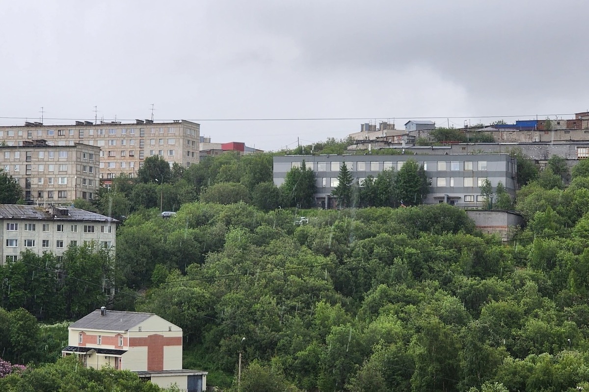 Фонд мурманск