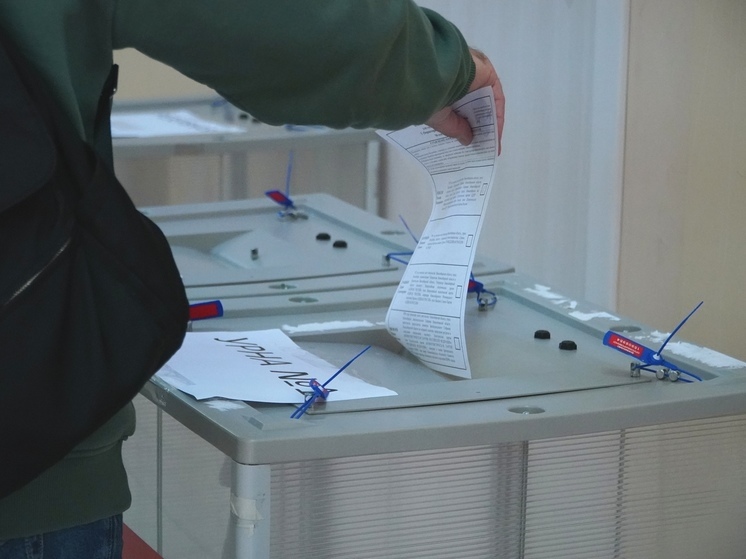 Явка на выборах губернатора Новосибирской области превысила 27%