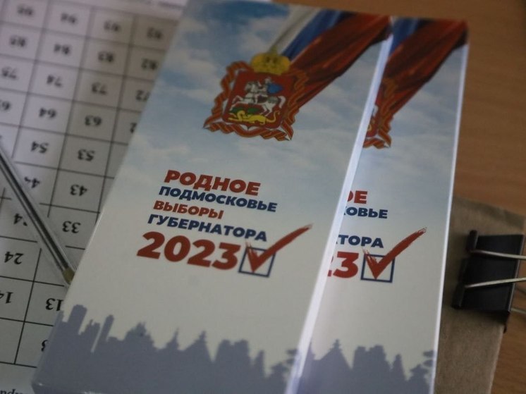 В Серпухове идет заключительный день выборов Губернатора Московской области
