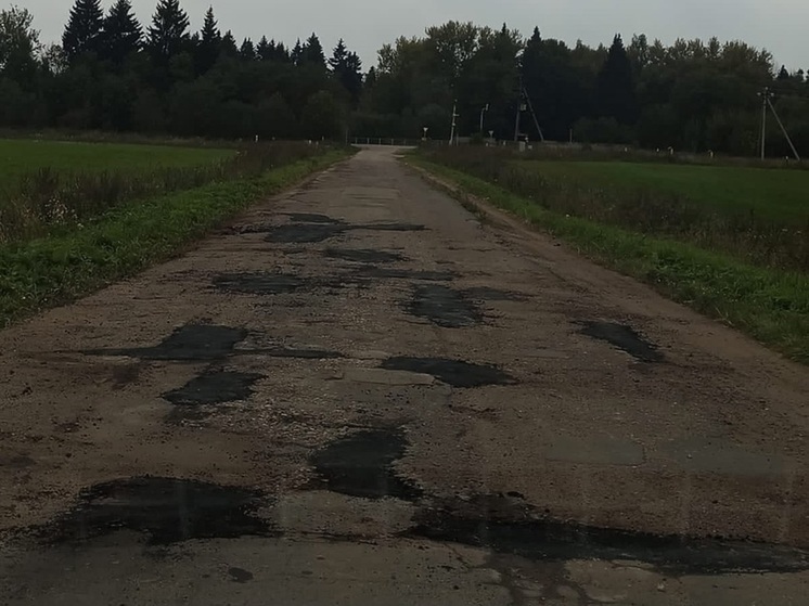 Обновленную дорогу раскритиковали подмосковные жители