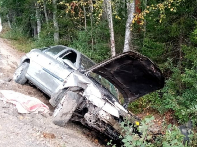 Такси упало в кювет под Петрозаводском – есть пострадавший