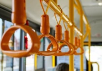 В Бийске семилетнюю девочку зажало дверьми в автобусе №27