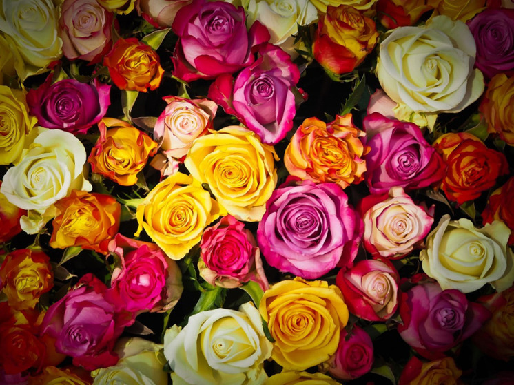 Тридцати четырём жителям НАО вручили награды за развитие округа