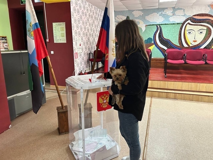 «Нарушений не было»: Гладков высоко оценил охрану общественного порядка при проведении выборов в Белгородской области