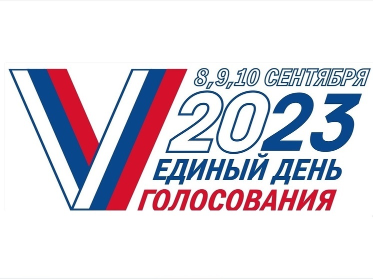 Первые итоги: на выборах в Городскую Думу Костромы по 30-му округу победил кандидат «Единой России»