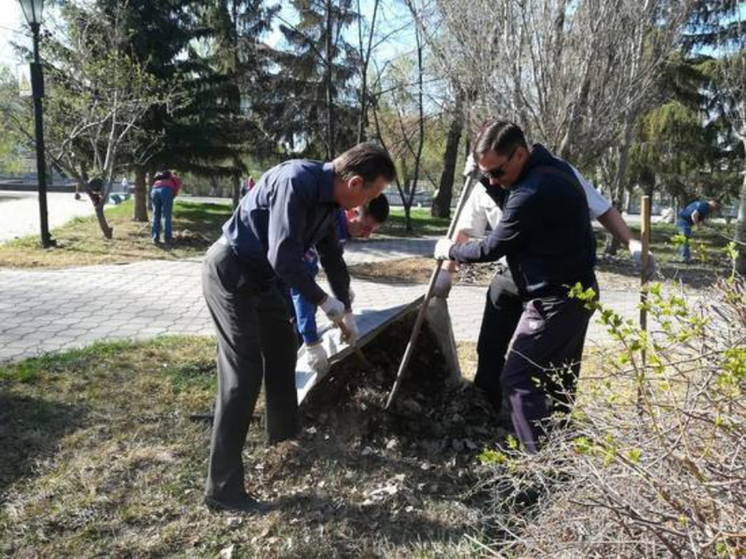 В Омске стартовали осенние субботники