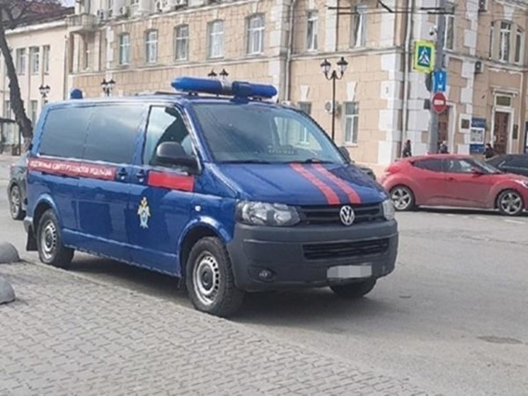 Следователи начали проверку после поножовщины в школе Ростовской области