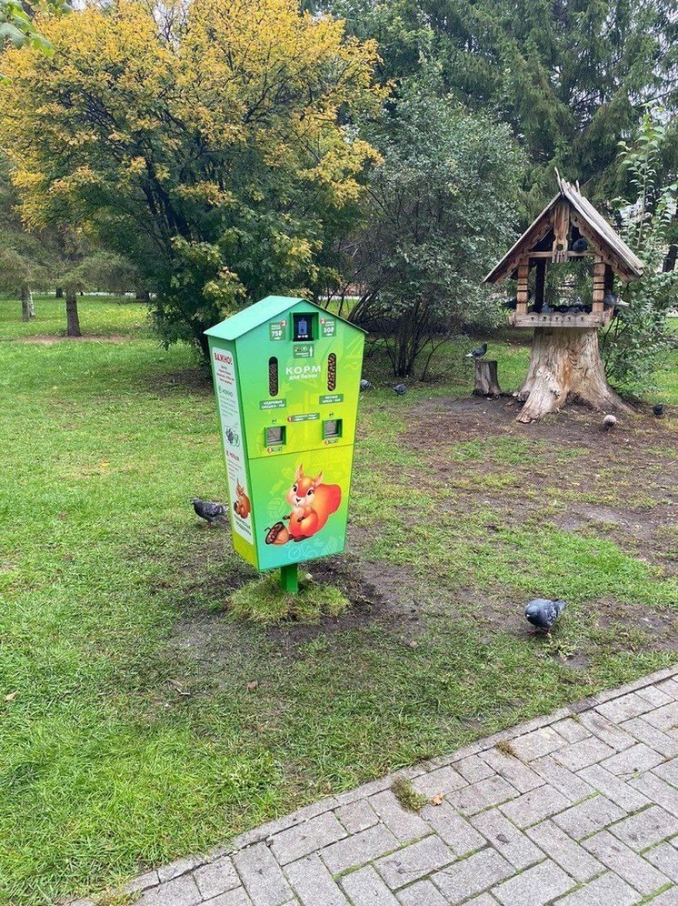 В челябинском парке заработала вендинг-кормушка для белок