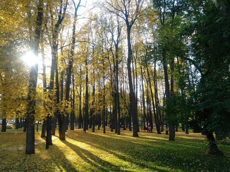 На этой неделе в Перми потеплеет