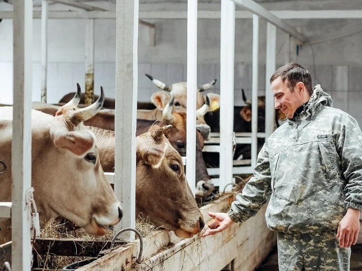 Молочная ферма в Зарайске получила грант на развитие агротуризма