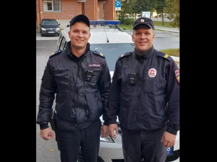 Полицейские приняли роды у женщины на дороге под Тосно