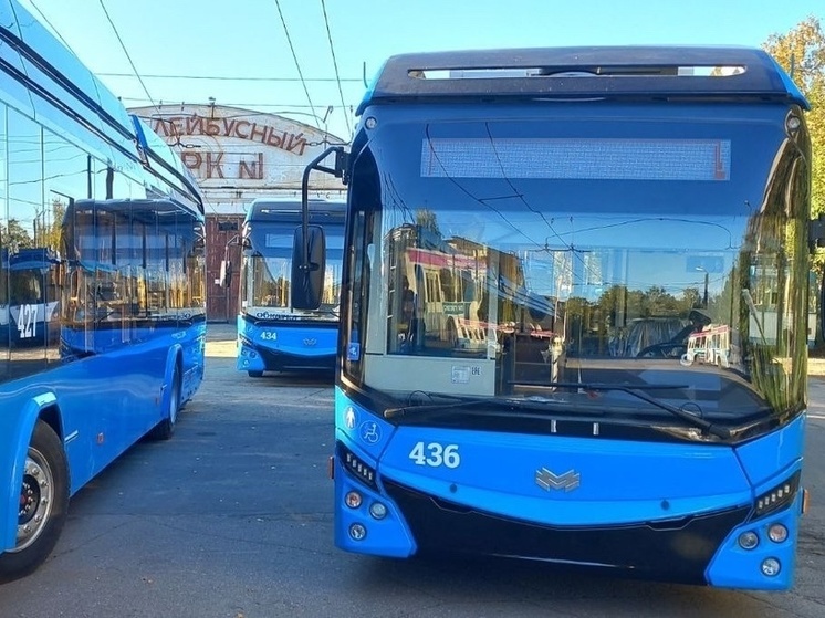 Троллейбусы продолжат ездить по измененным маршрутам в Петрозаводске