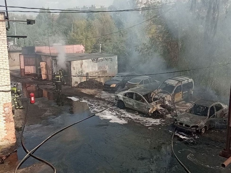 Крупный пожар в Подольске локализован