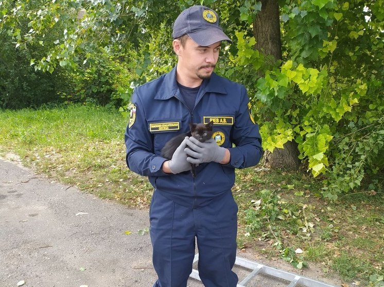 Белгородка поблагодарила спасателей за помощь котенку, просидевшему на дереве три дня