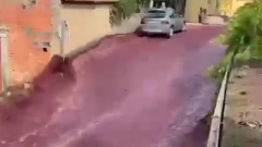 В Португалии случилось "винное наводнение": видео