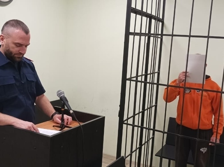 Рецидивист в Сегеже избил 17-летнюю девушку, чтобы украсть телефон