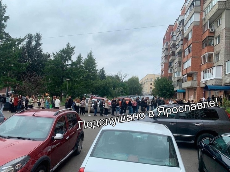В Ярославле начали выдавать школьные и студенческие проездные