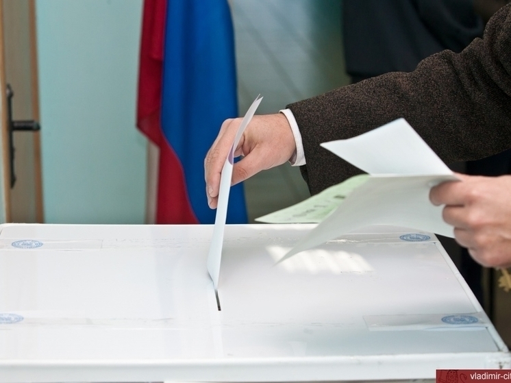 Самая высокая явка на выборы зафиксирована в Антропово, самая низкая — в Буе