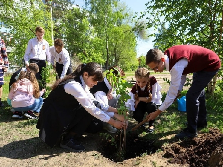 В Серпухове планируют озеленить территорию