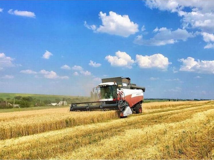 В Орловской области намолотили больше 3 миллионов тонн зерна