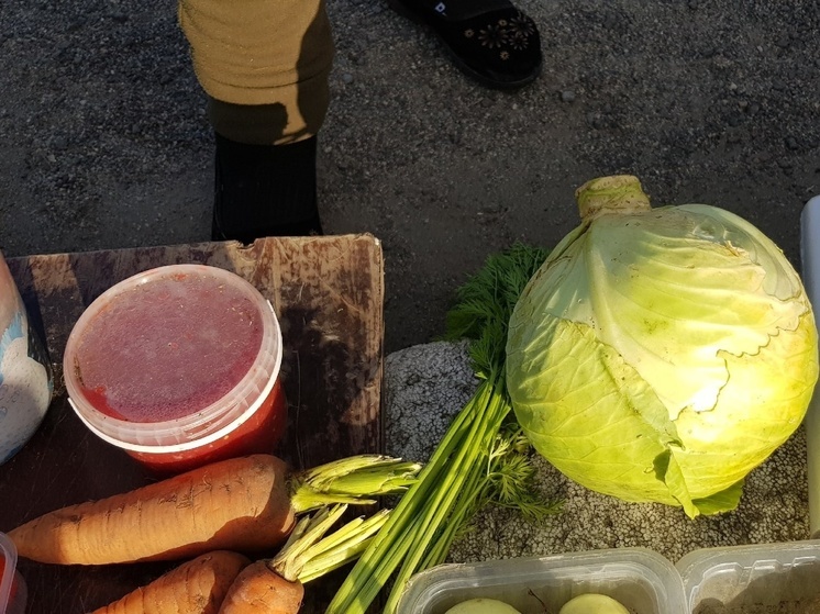 Узнали, сколько стоят овощи-фрукты со своего огорода в Карелии