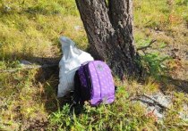 В Онгудайском районе женщина умерла при сборе кедрового ореха