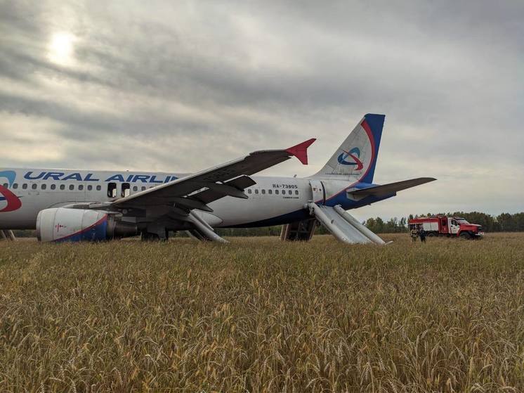 Появились кадры экстренной посадки самолёта Сочи-Омск в поле под Новосибирском