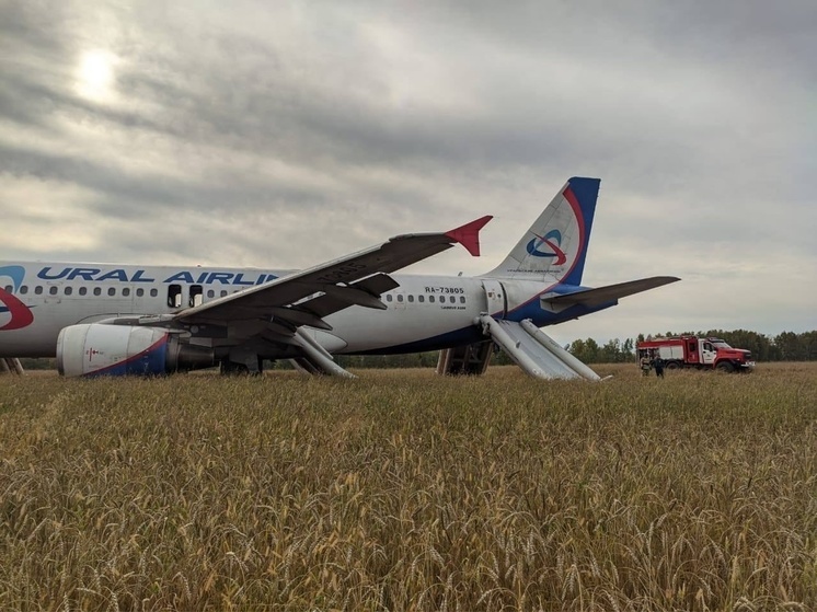 Причиной аварийной посадки самолета Сочи-Омск стали проблемы с гидросистемой