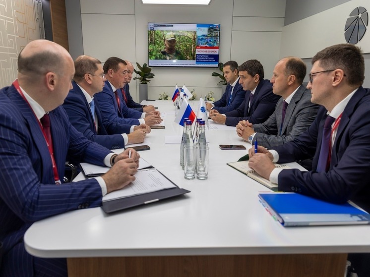 Крупный электросетевой холдинг построит на Курильских островах несколько электростанций
