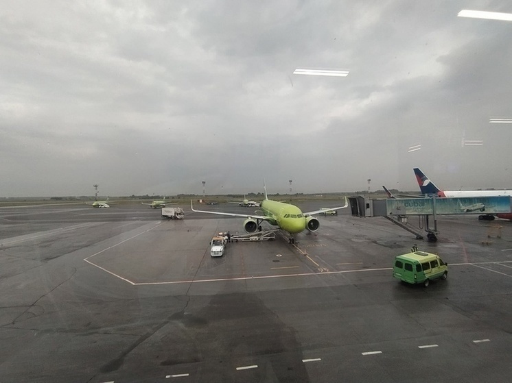 Следующий в Омск самолет "Уральских авиалиний" совершил аварийную посадку в Новосибирской области