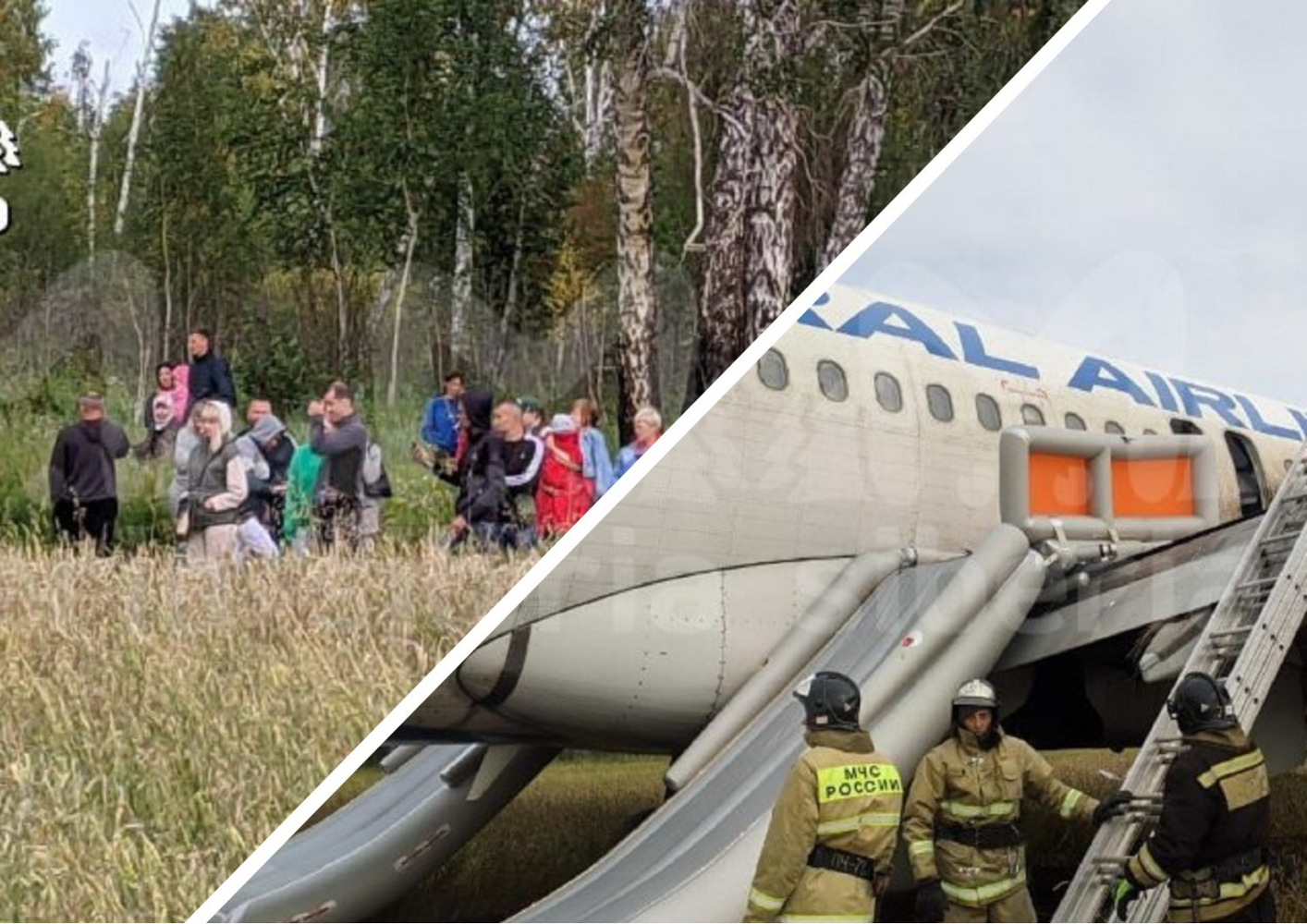 Самолет «Сочи — Омск» приземлился в поле: 15 фото с экстренной посадки в Новосибирской области