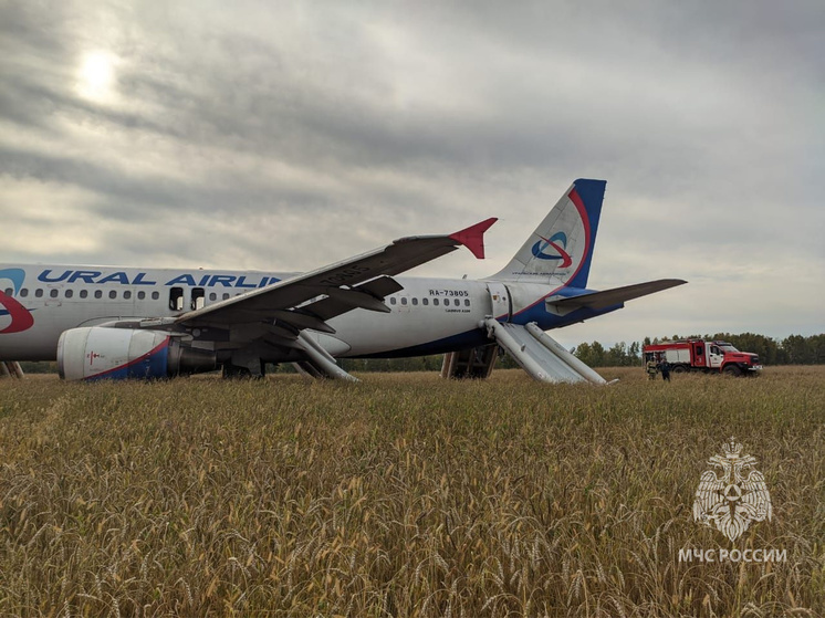 «Уральские авиалинии» посадили самолет в поле, на этот раз – в пшеничном