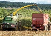 В Белгородской области стартовала уборка кукурузы на зерно