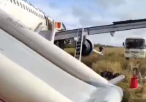 Видео приземления самолета в поле в Новосибирской области опубликовал телеграм-канал «Московский комсомолец